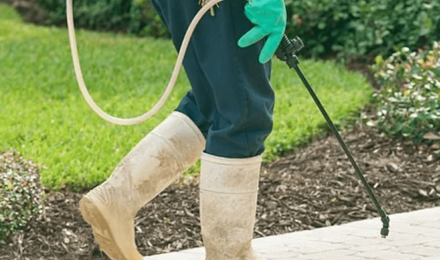 AZ Pest Solutions Inc